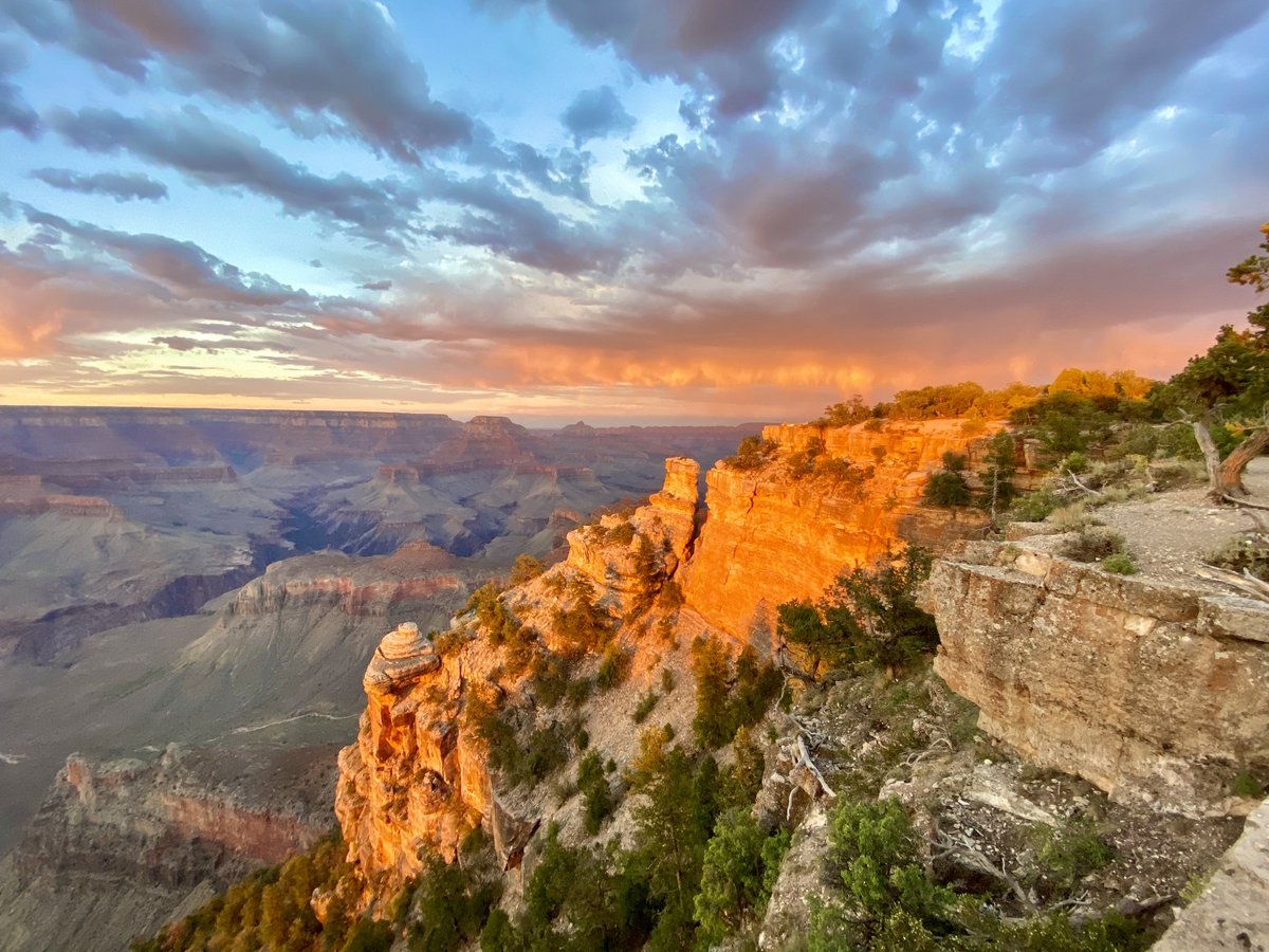 Grand Canyon Conservancy tweet media