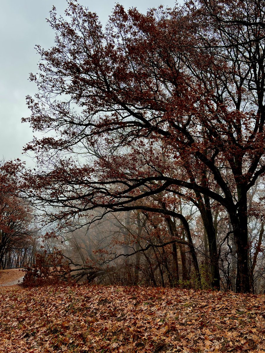 r_u_c_n_o_k_'s tweet image. 