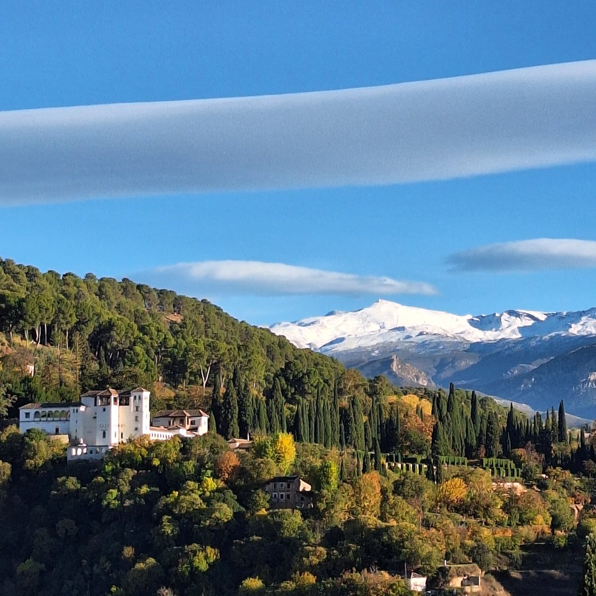 kiki2022 tweet media