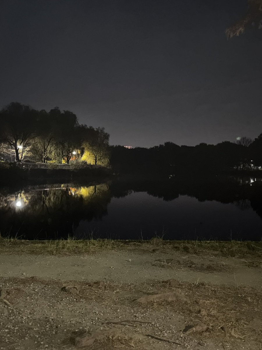 夜散歩。
ラブデスロボットという作品がとても好みでした。
今夜はファンタジーな夢が見れそう。

束の間のお暇はとても有意義でした。