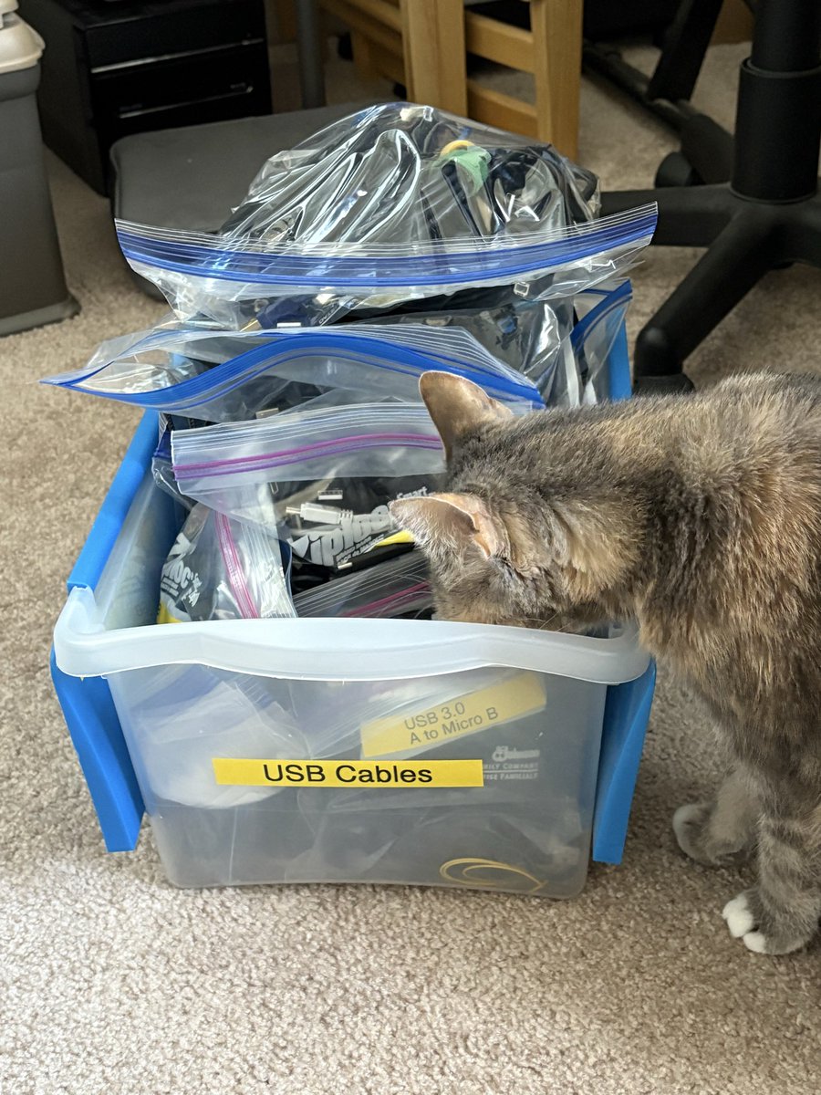 USB Cables!

Somewhat organized. Cat approved.