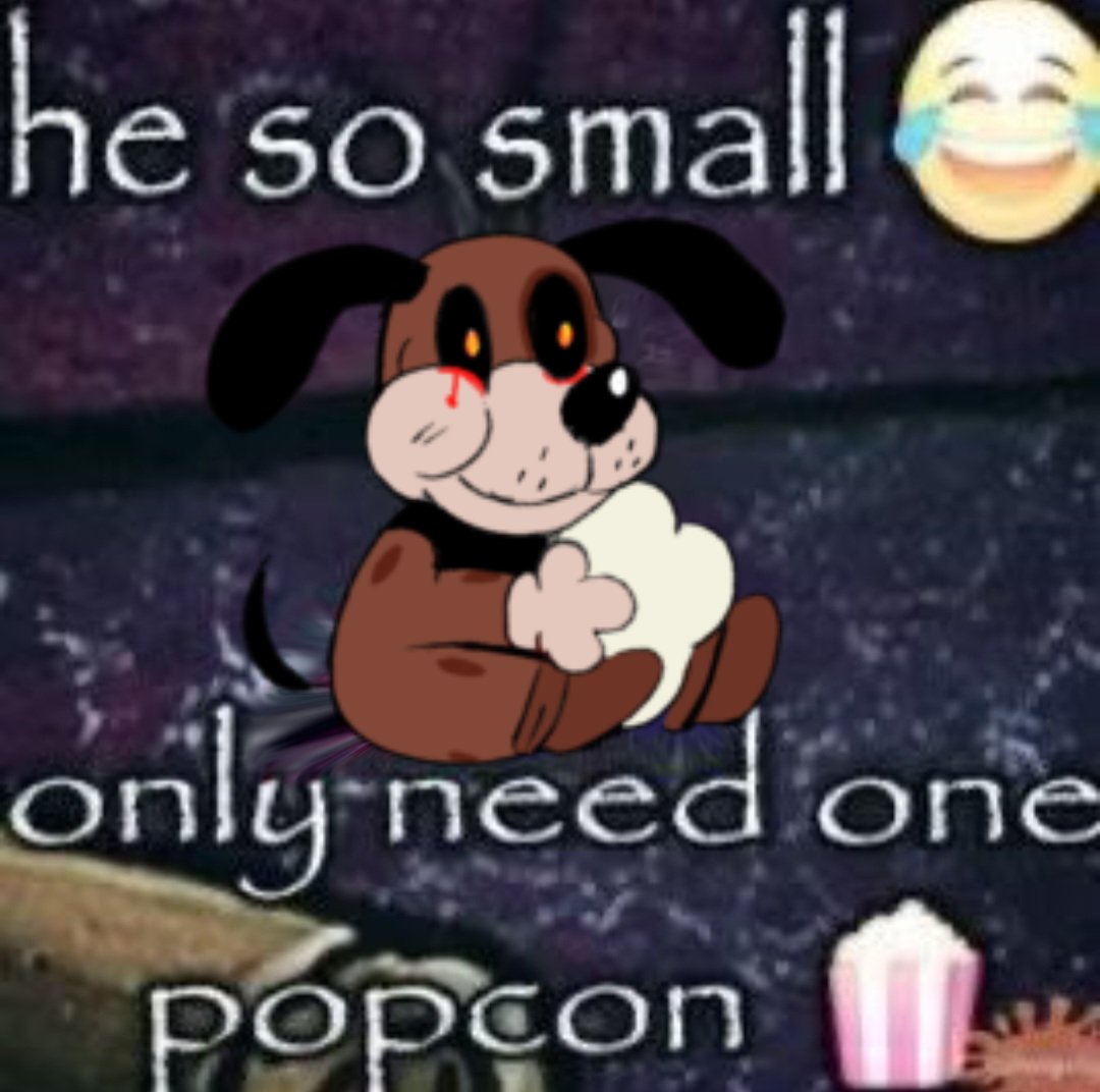 Is The Dog out yet? tweet media