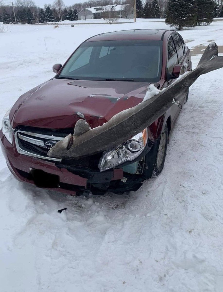 HymenReaper's tweet image. If you are thinking about moving to Michigan... DONT!