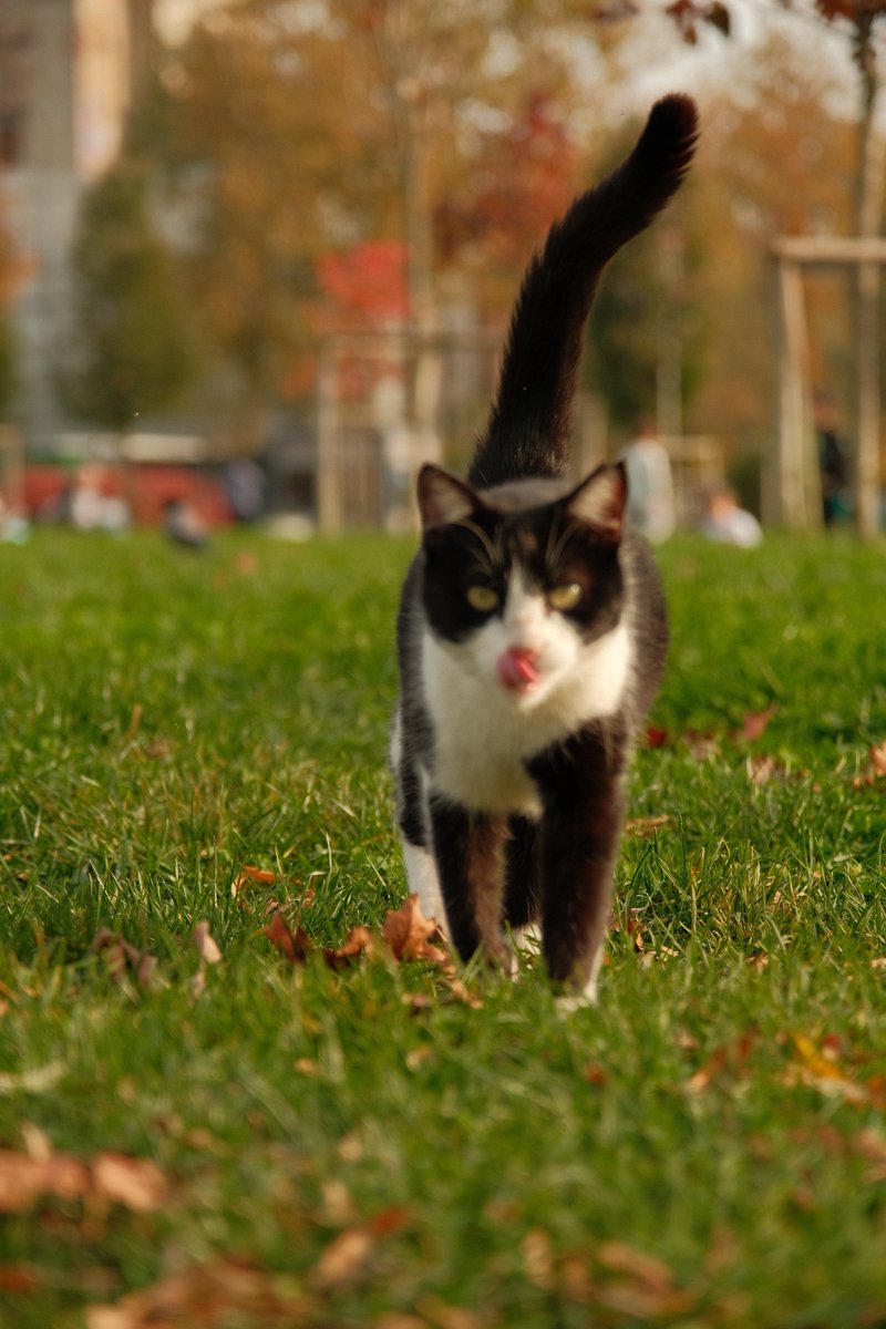 Bana doğru koşarken çekmiştim ama kamera yanlış yeri netlemiş🥹🥲