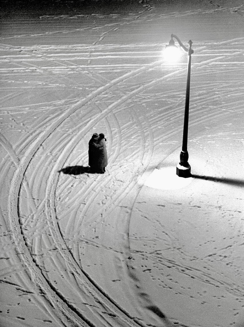 Patrizia Ciardelli tweet media