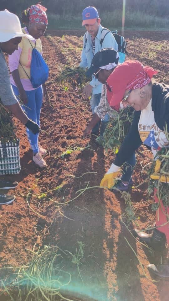 CavSusy's tweet image. Amplia jornada de trabajo voluntario en apoyo a la producción de alimentos y a las labores de limpieza e higienización de las comunidades y centros de trabajo en #CiegodeÁvila 
#LatirAvileño