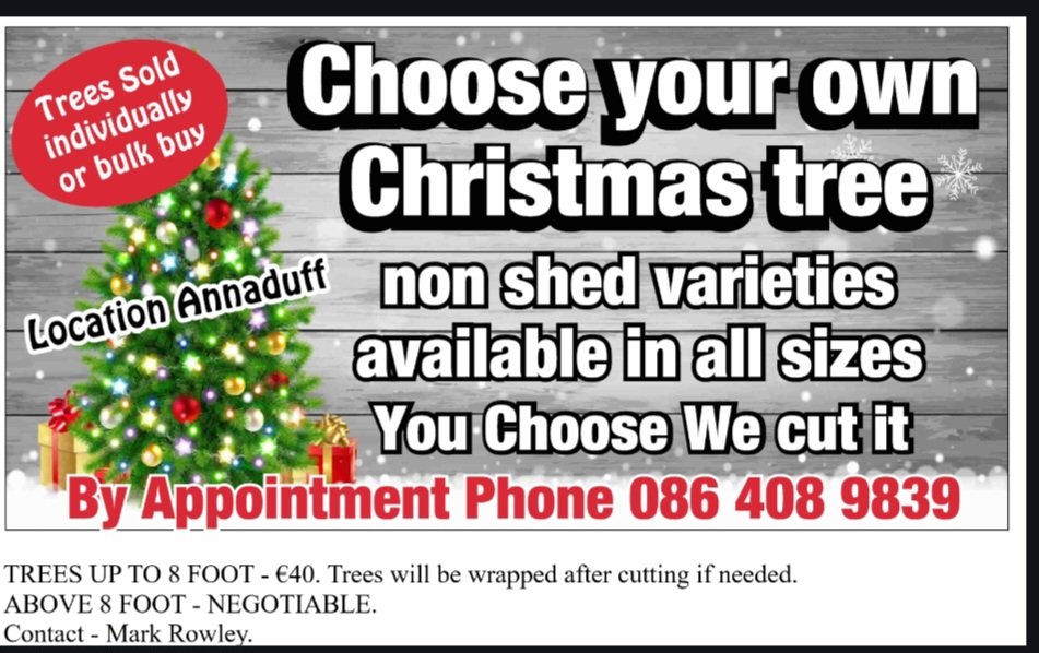 Mark Rowley tweet media