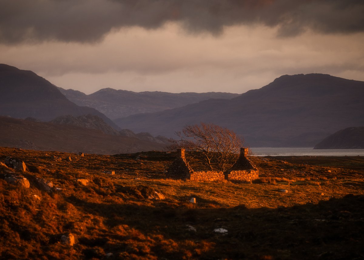 mark littlejohn tweet media