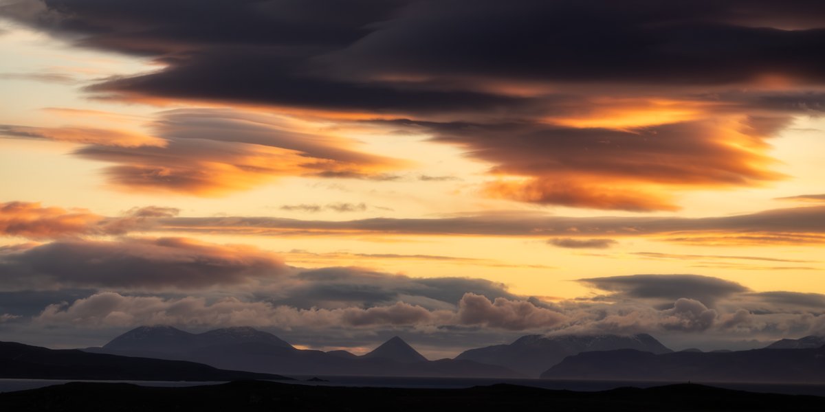 mark littlejohn tweet media