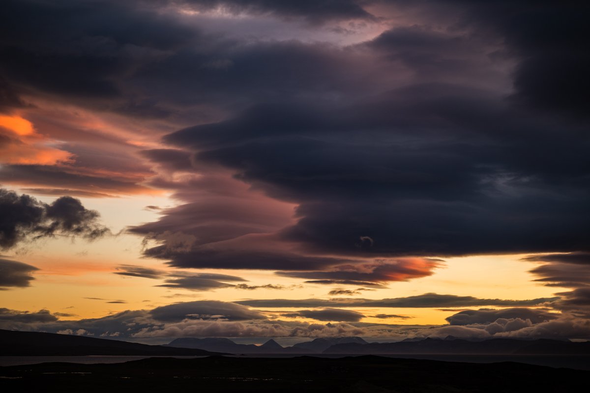 mark littlejohn tweet media