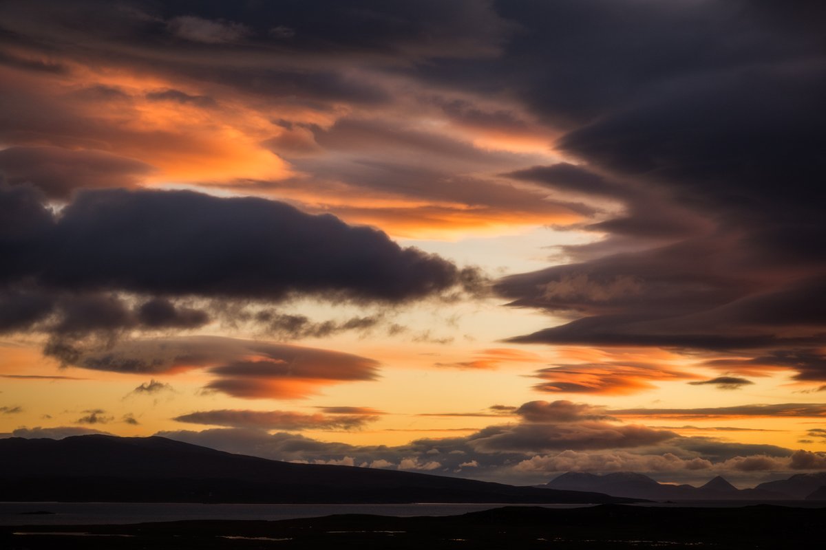 mark littlejohn tweet media