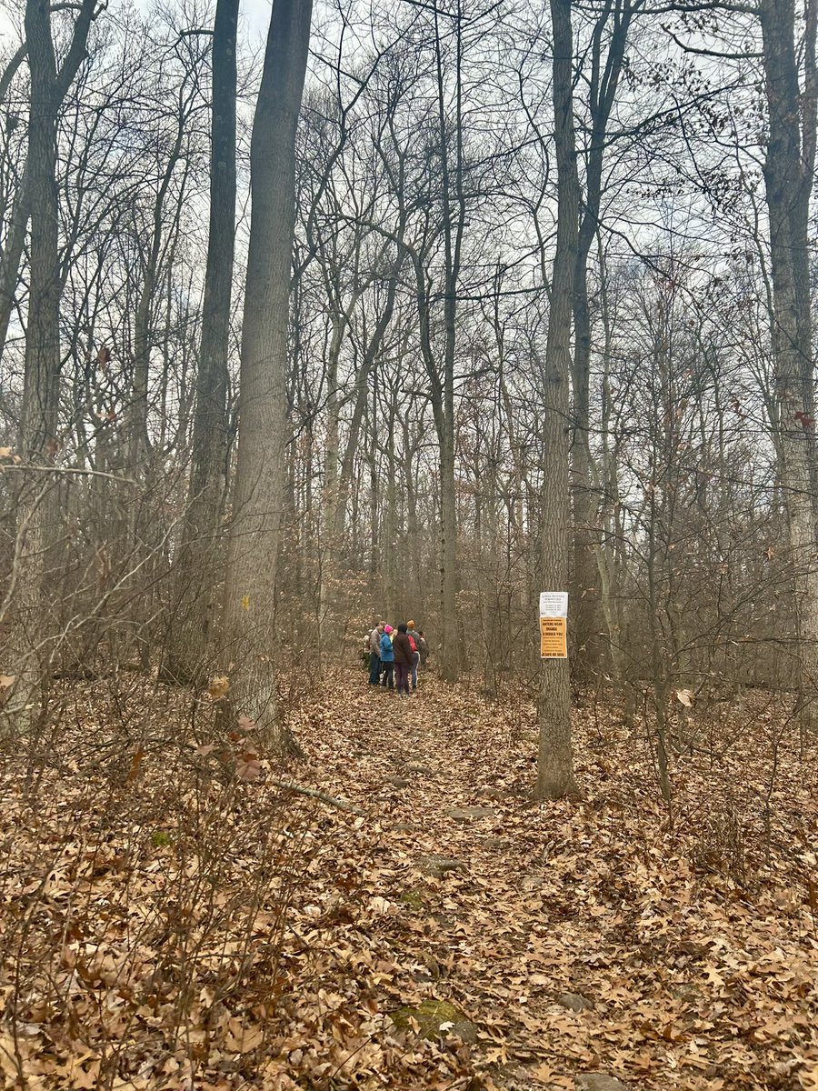 Essau1969's tweet image. #SundayFunday Last #Foray of the year today! LFG!!!!!!!!!!!!!!!!! 🥾🍄‍🟫👀💫