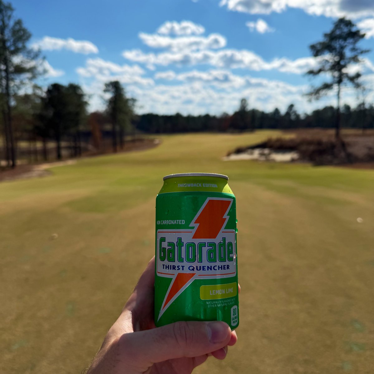 cc <a href="/CoopNFT/">CoopGolfs</a>