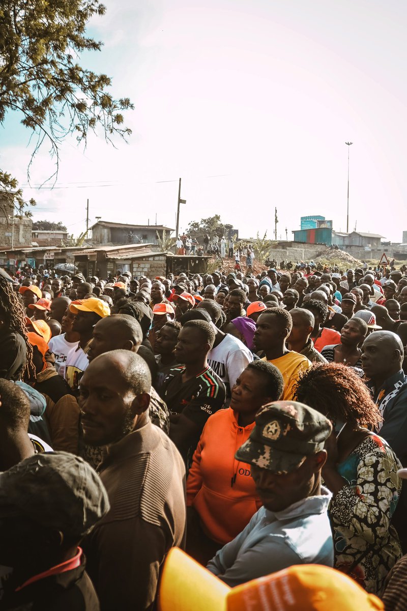 OCTOPIZZO's tweet photo. KIBRA RISING 🎱 https://t.co/C7uXJ5hxTU