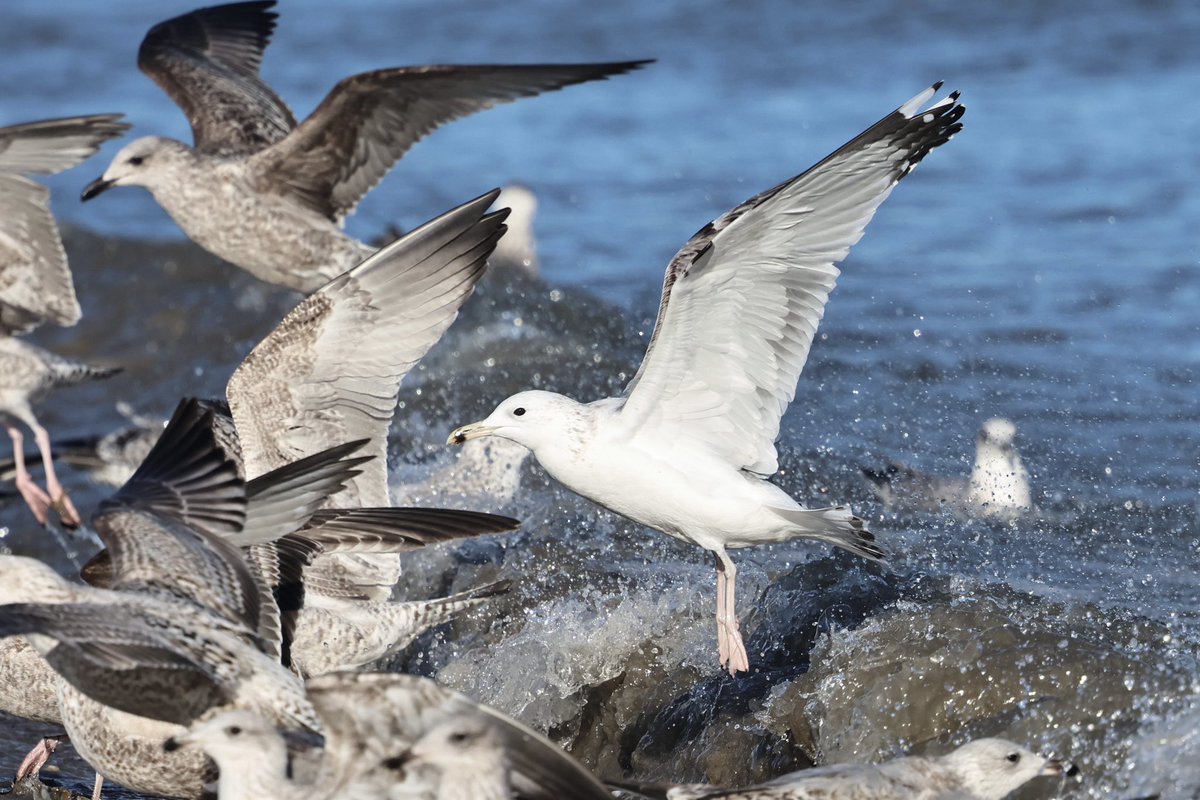 Cian Cardiff tweet media
