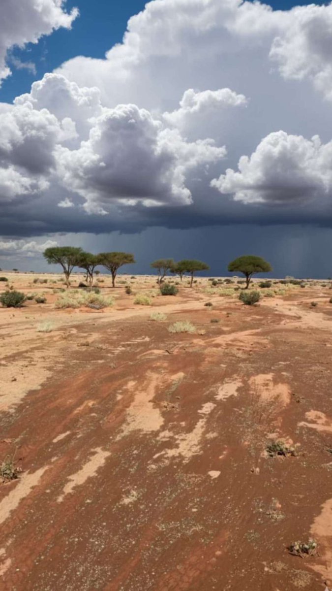 يالله  بمزن  ليا  هلت   هماليله
اول عطاياه هادي وآخره هادي

جره مسيله ليا منه نشف سيله
جرة  هنوفٍ  تدوّر  خاتمٍ  غادي

<a href="/naif_abalaon/">نايف اباالعون</a>