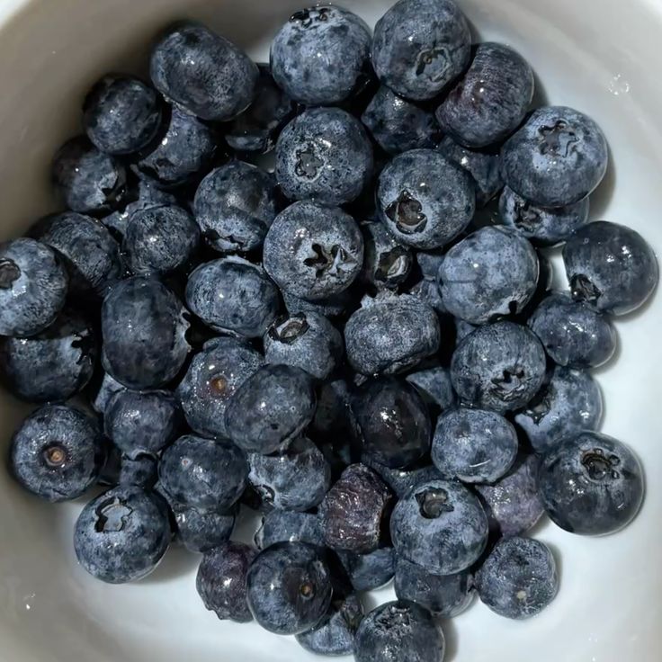 Mitssou_'s tweet photo. :¨ ·.· ¨:
 `· . ꔫ blueberries are definantly one of my safe foods !! ~60 cals for a bowl of them ૮ ˶ᵔ ᵕ ᵔ˶ ა https://t.co/YF4mGSNHYP