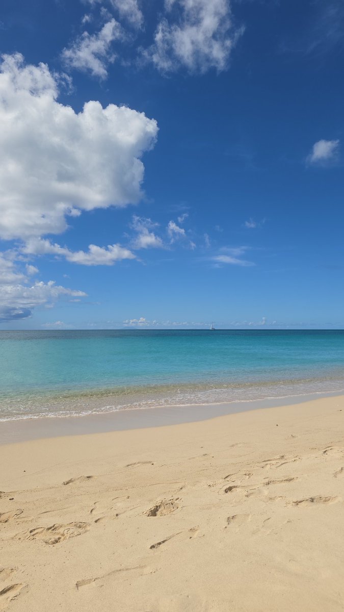 Caribbean Girl Experiencing The World tweet media