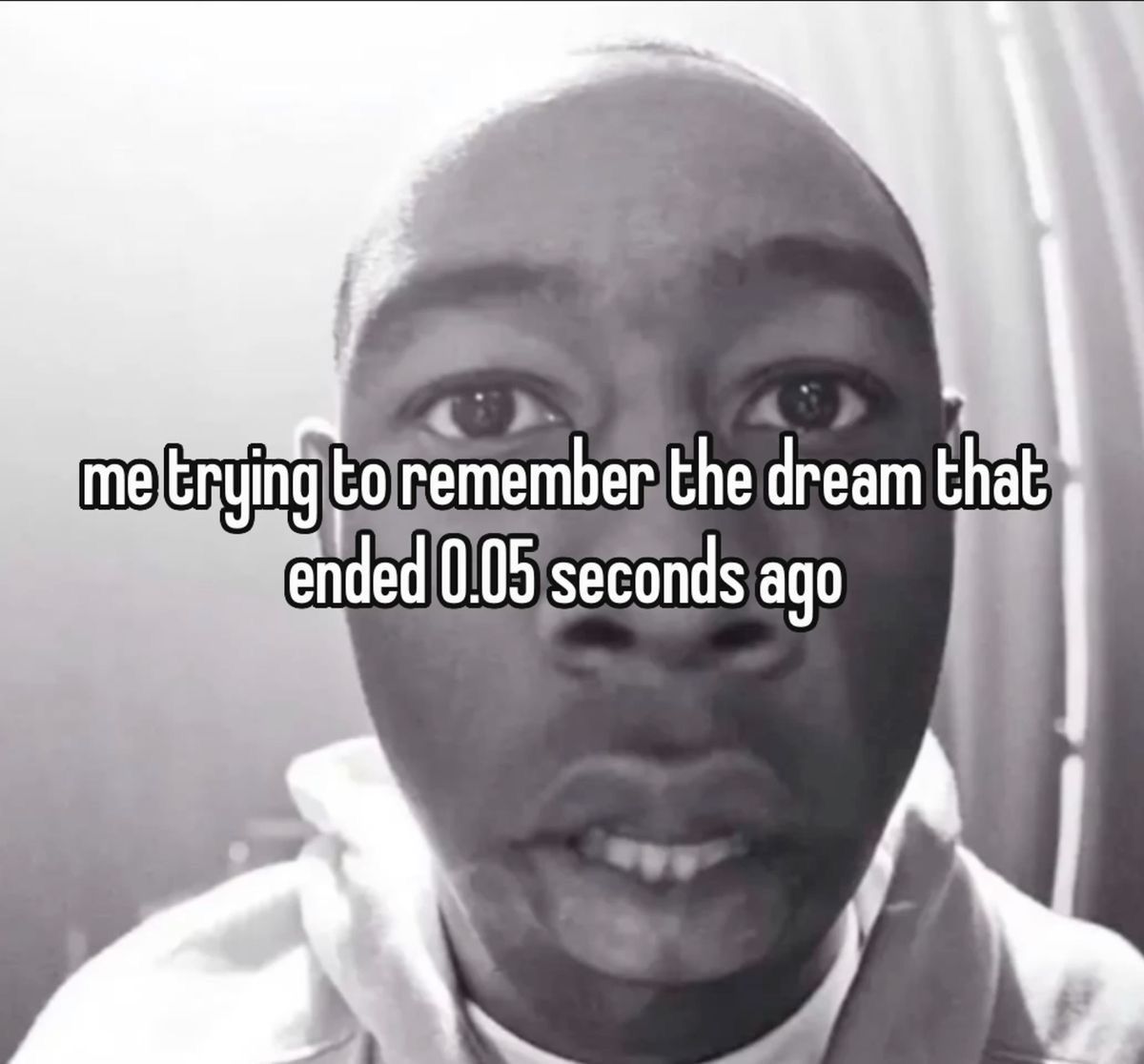 Wild TikToks (@wildtiktokss) on Twitter photo 