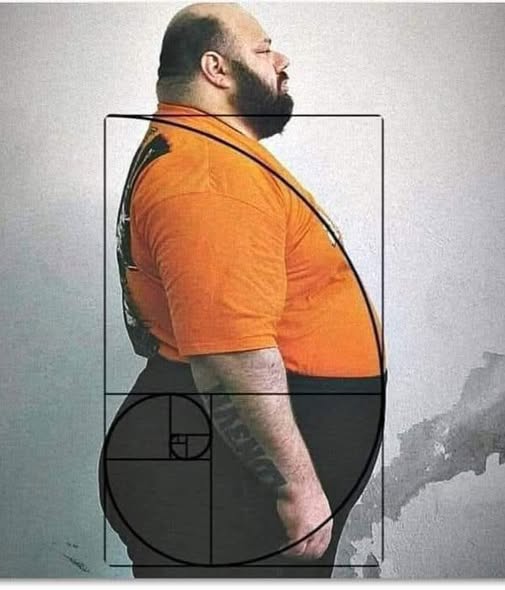 Tino_Kunze's tweet image. #Fibonacci