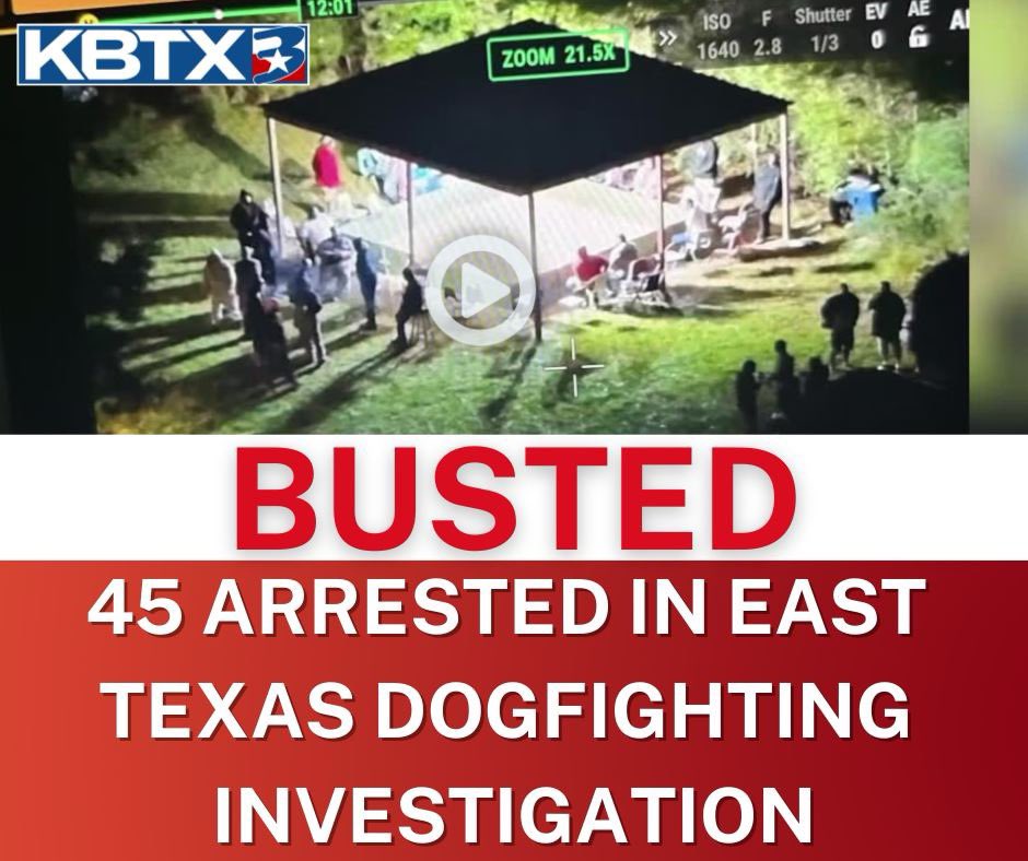 🚨 DOGFIGHTING RING BUSTED IN EAST TEXAS 🚨
Newton County deputies say 45 people were arrested and more than $73,000 was seized after an overnight raid on a dogfighting operation off FM 1004.

According to the sheriff’s office, deputies served a warrant around 9:50 p.m. Saturday