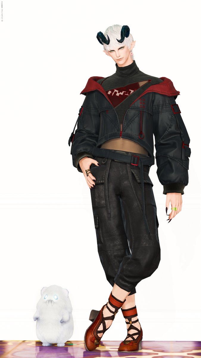 適当にルレ回してるだけじゃなかなかモグコレトークン貯まらないな〜おやすみ〜
#おやエレ #エレオス