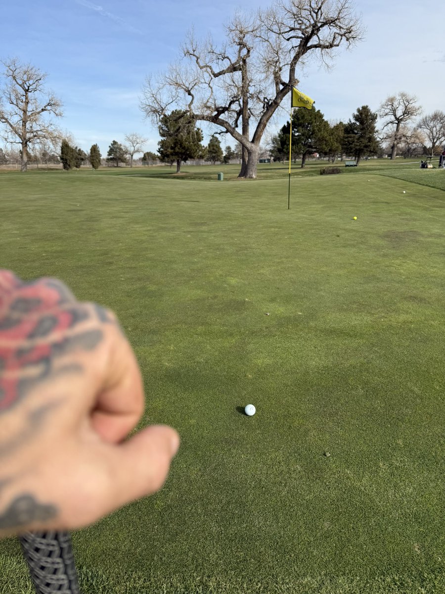 fxnction's tweet photo. Eagle putt loading ⛳️ https://t.co/I1q01HcZ5u