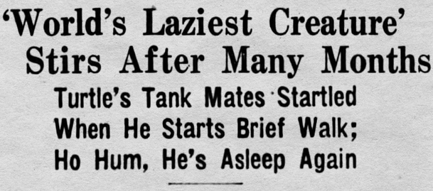 yesterdaysprint tweet picture