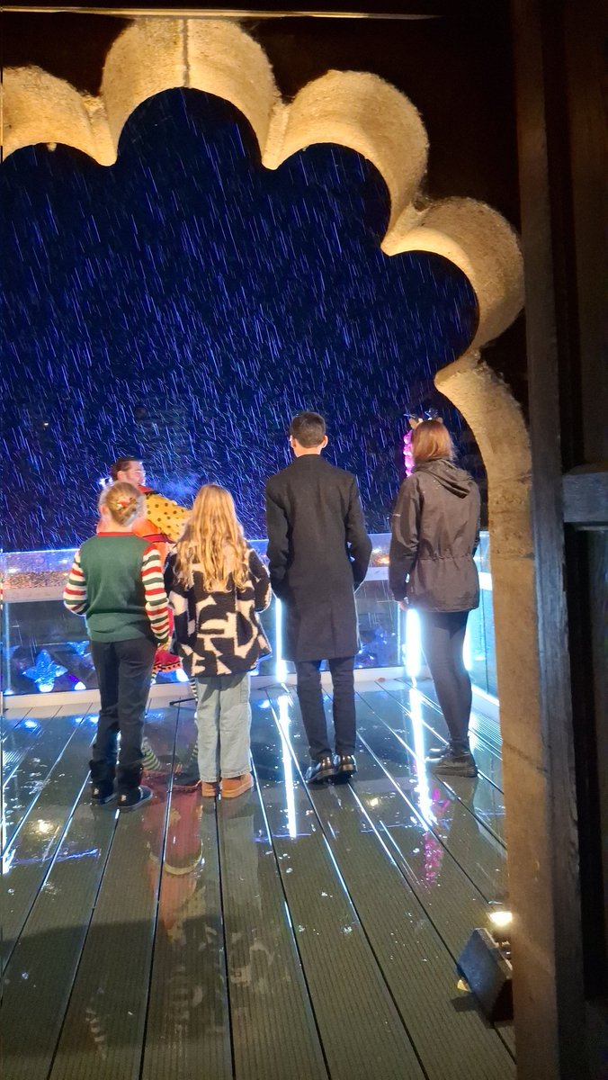 Saima Butt RYS tweet media