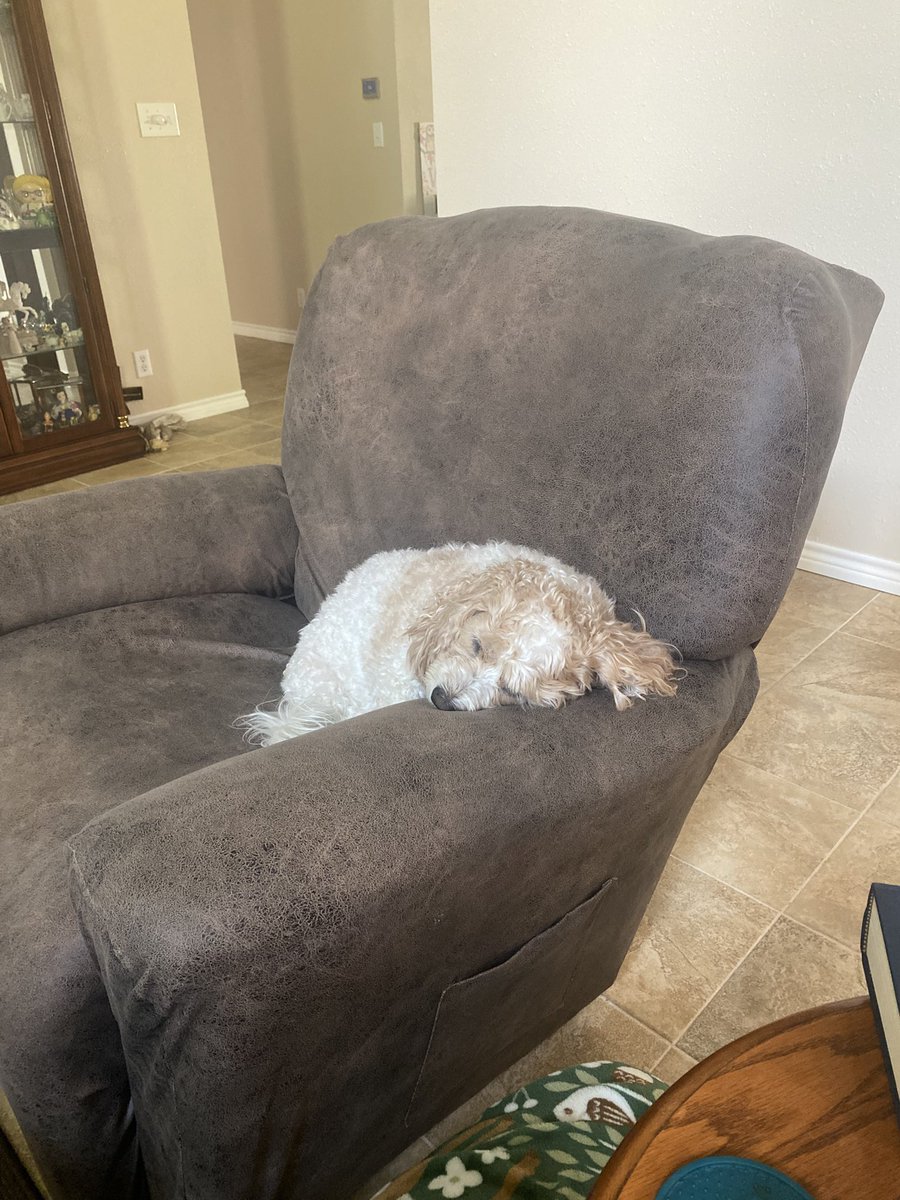 DougInTx tweet media