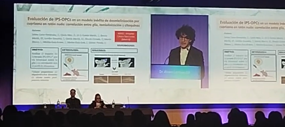 Evaluación de iPS-OPCs en modelo de desmielinización