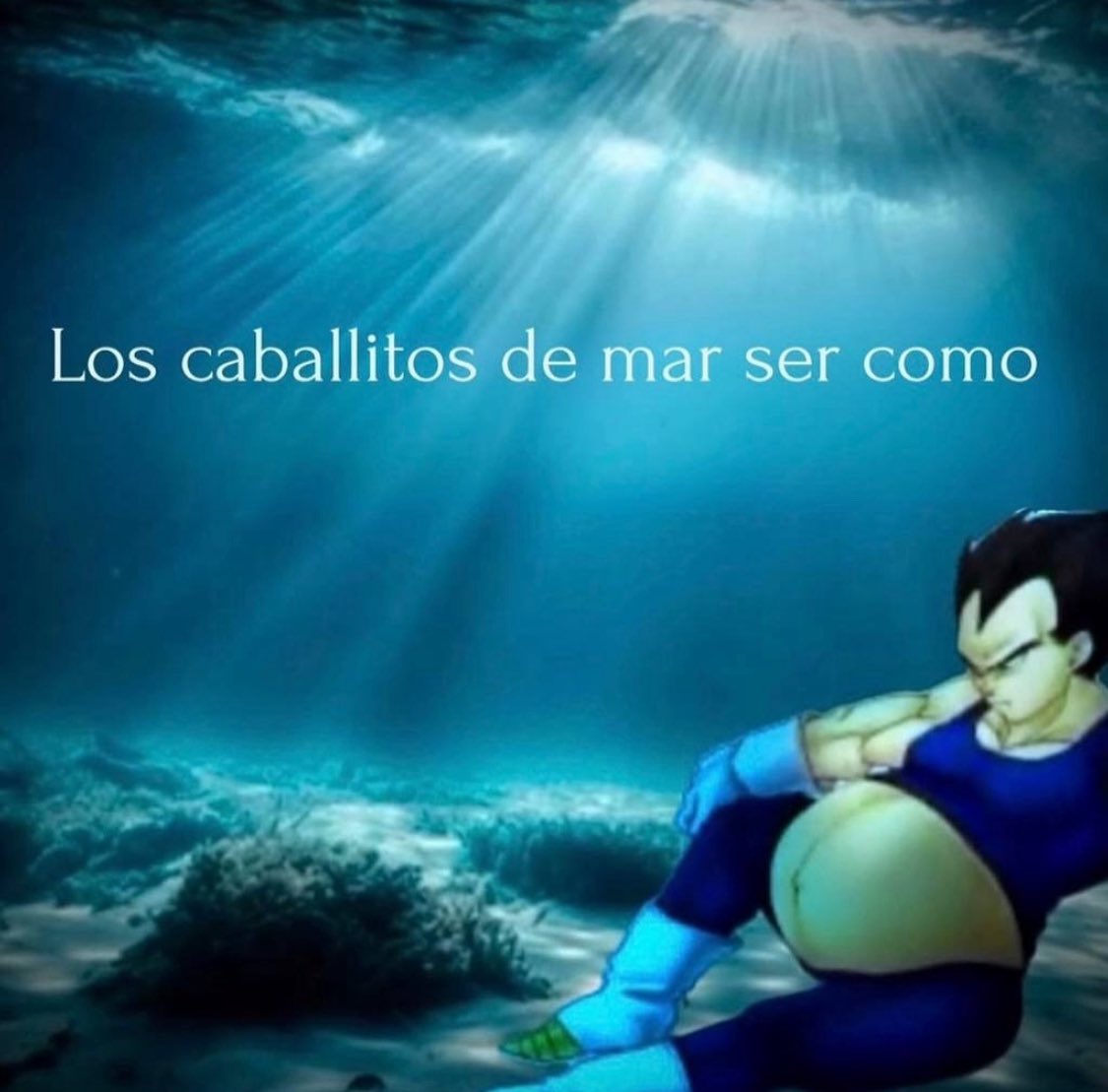 BFrog (@bfrog__) on Twitter photo 