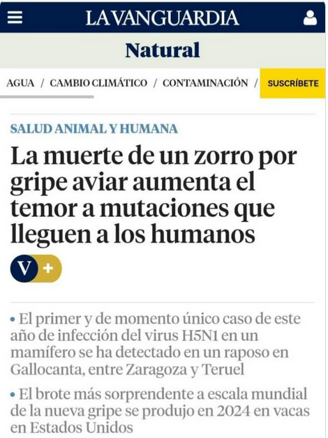 Antonio Pérez-Algás tweet media