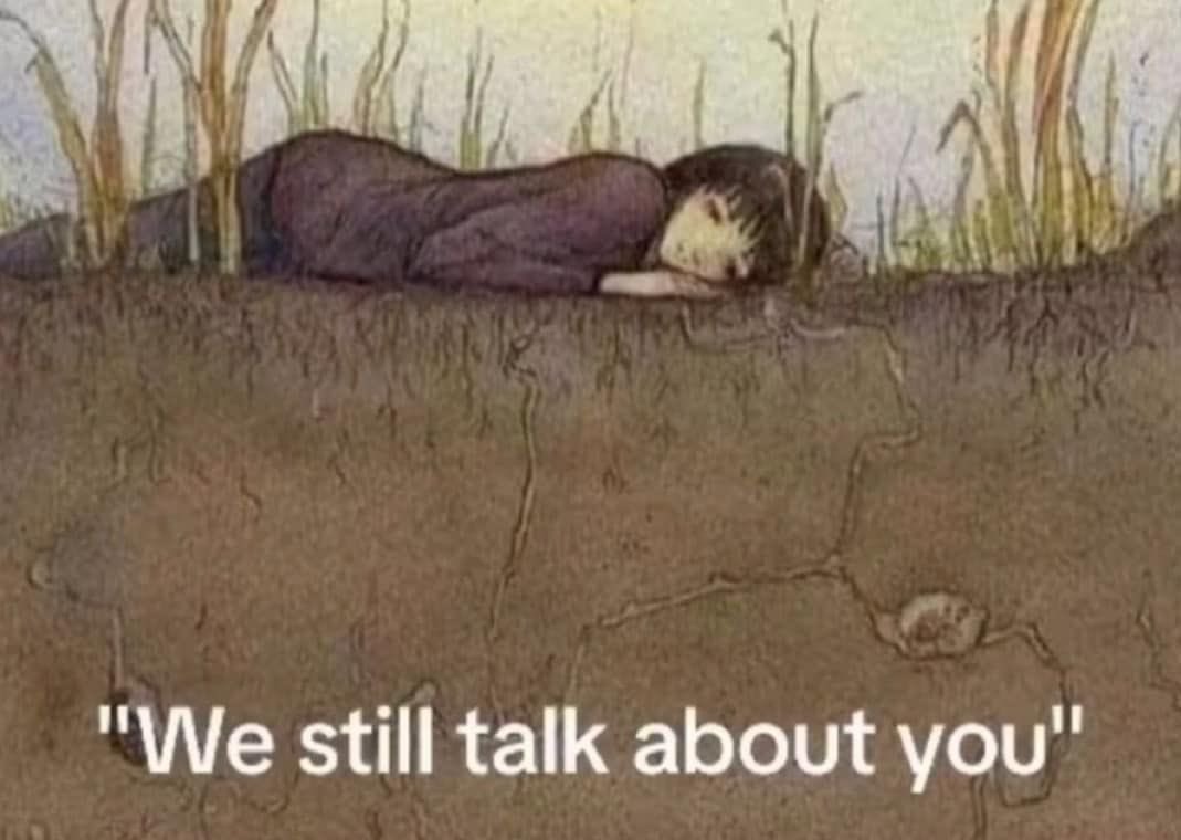 MereKat (@merekatkat) on Twitter photo 