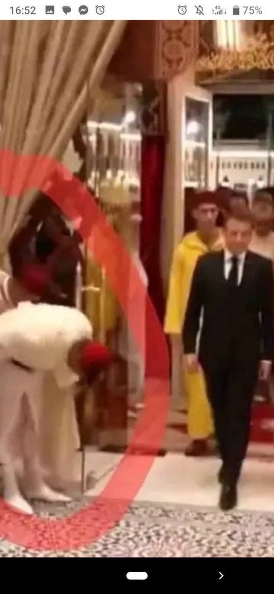 هاذو هوما المراركة مجرد عبيد لدى فرنسا يركعون للرئيس ماكرون