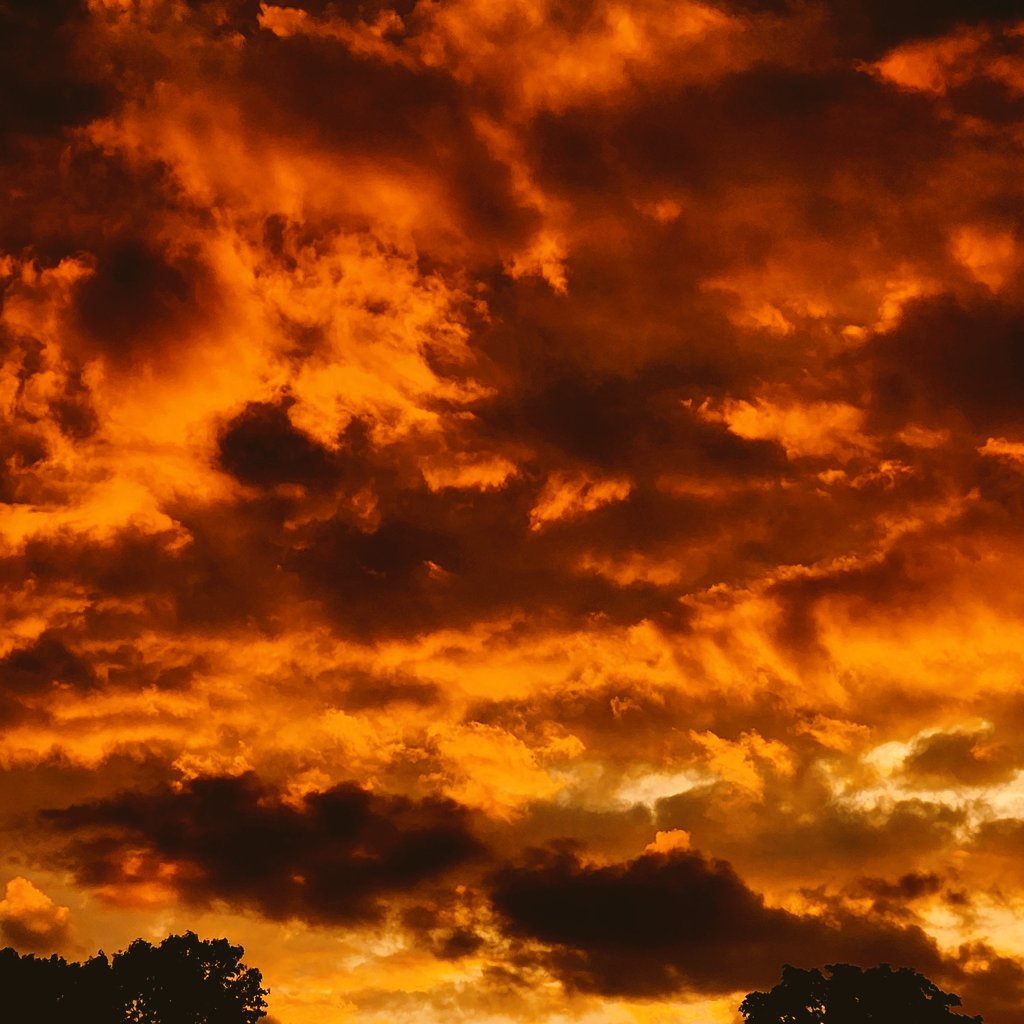 Maria Carvalho tweet media