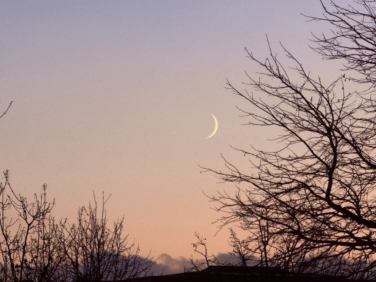 maxchan's tweet image. 今時月色