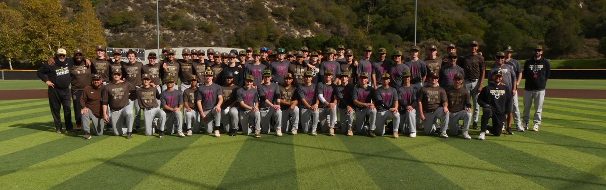 2025 Annual Strike Out Cancer game! Huge thanks to <a href="/SFKnightsBB/">St. Francis Golden Knights Baseball</a> for helping out a fantastic cause while enjoying some good baseball!