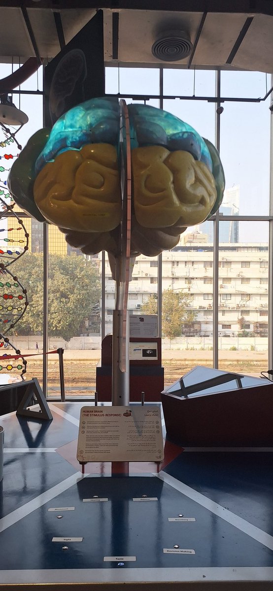 sid_fatima_'s tweet photo. Thats where my happy neurons lighten up ❤️🧠 https://t.co/l126BvY9za