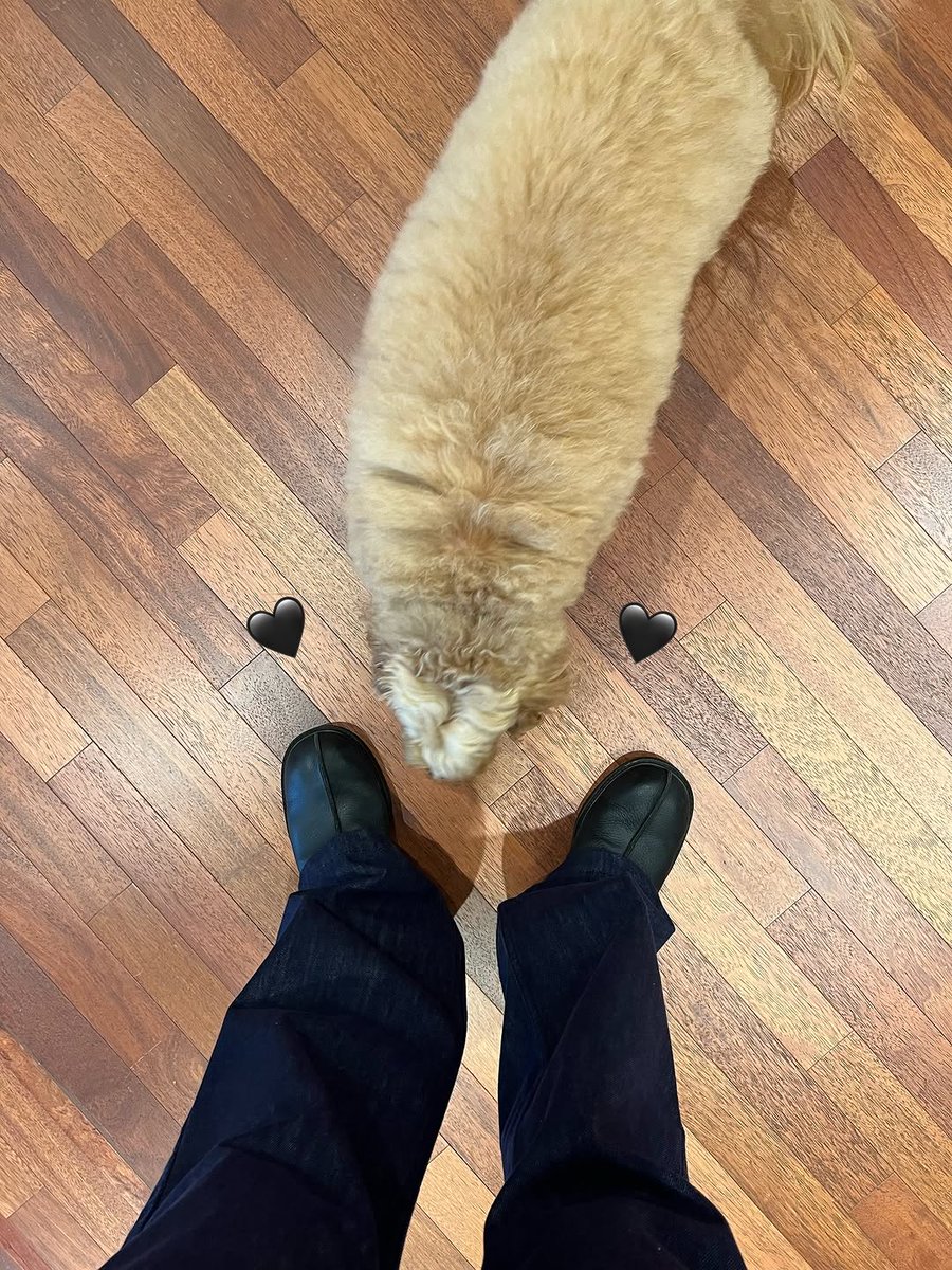 KamsoDavid's tweet image. What is this