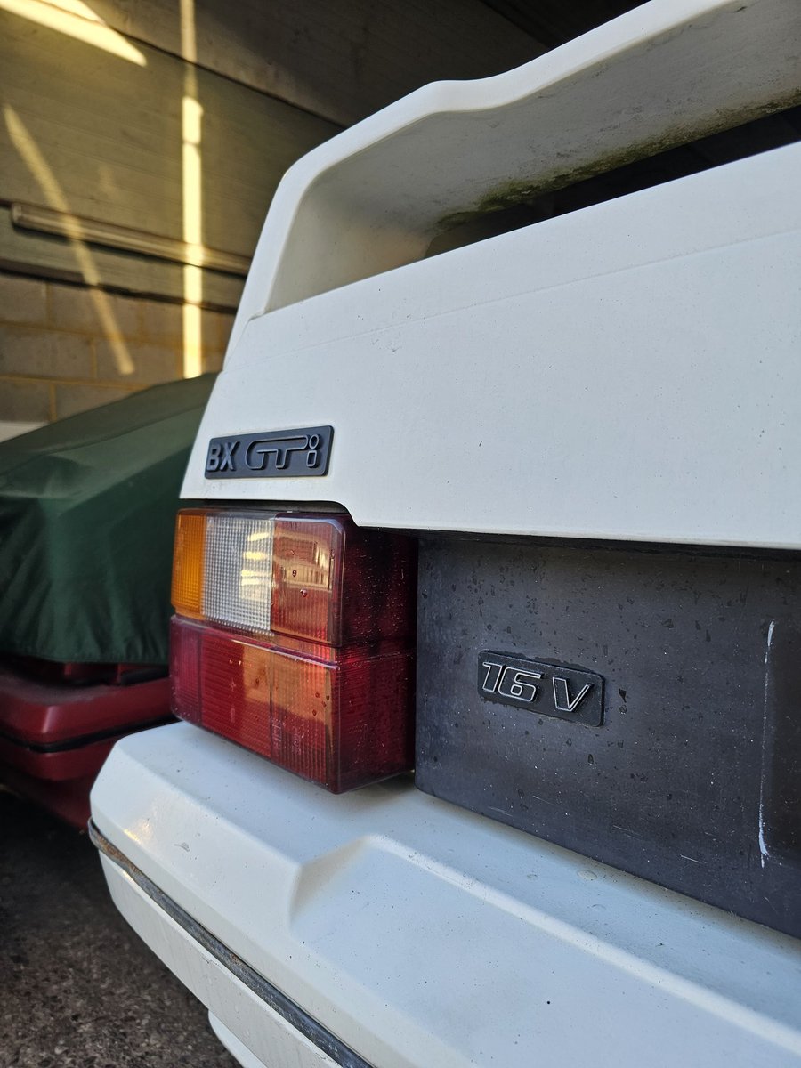 Matthew Hayward tweet media