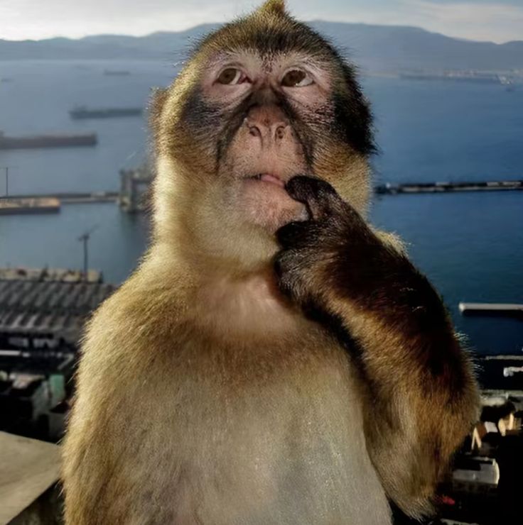 TechCricforlife's tweet image. Gemini 3.0💀, it&apos;s better to start focusing on Farming bc.