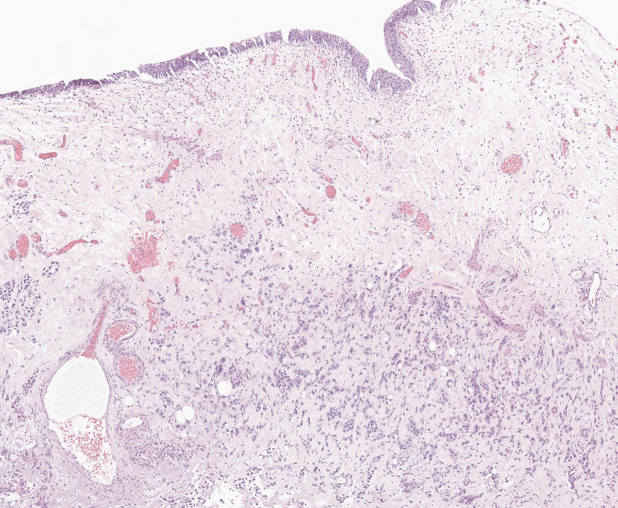 Mariya Kuk 🇺🇦 tweet media