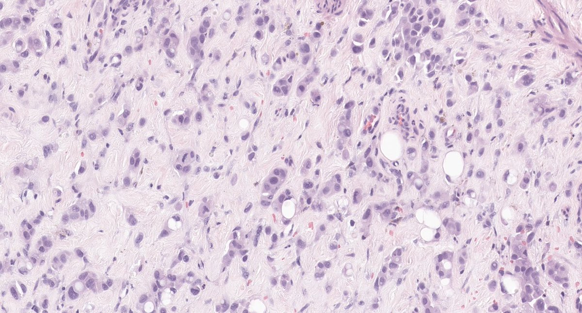 Mariya Kuk 🇺🇦 tweet media