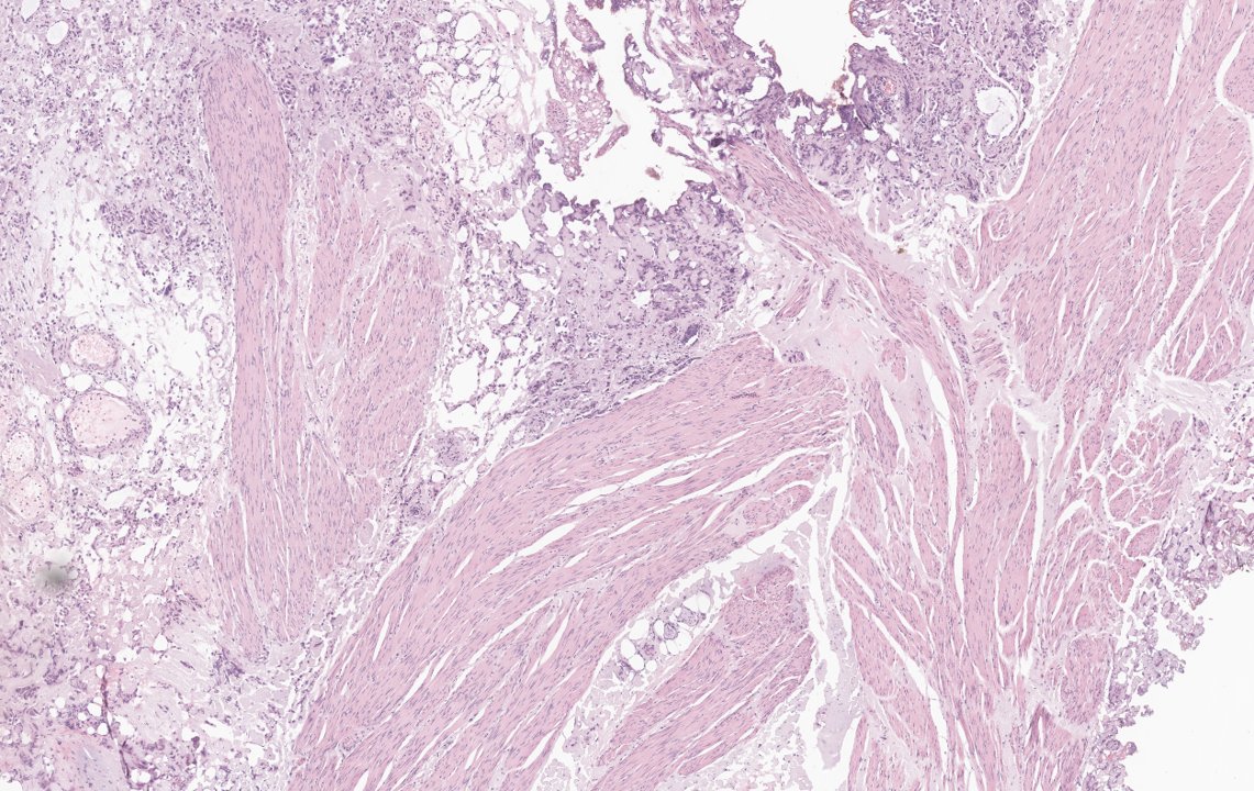 Mariya Kuk 🇺🇦 tweet media