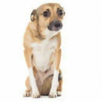 Vero 🚬 (de vuelta) EN CRISIS tweet media