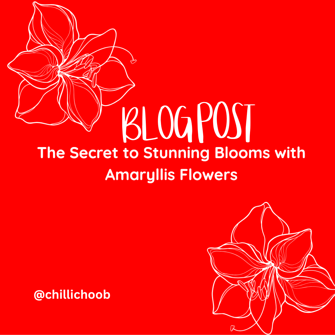 chillichoob's tweet image. 🌺✨ Blog Post: The Secret to Stunning Blooms with Amaryllis Flowers
Unlock vibrant colour, bold blooms, and easy care tips for a show-stopping display!

upthegardencompany.co.uk/the-secret-to-…
#Amaryllis #FlowerTips #PlantCare #GardeningInspiration #Chillichoob #GardenLovers #FlowerPower