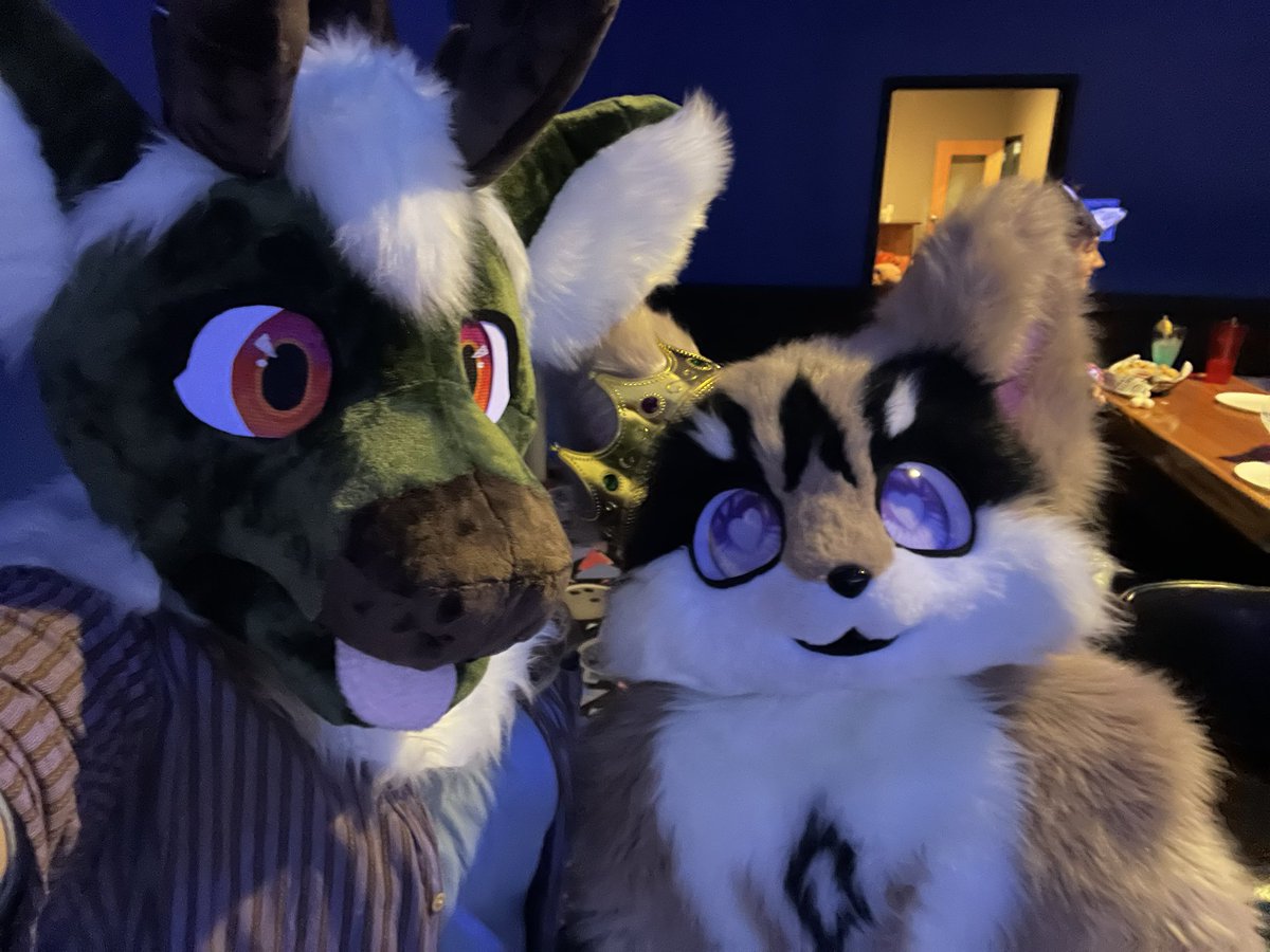 SitkatheBou's tweet photo. More photos from Bark n’ Bowl

:3 https://t.co/ZTXy87Pe7Q