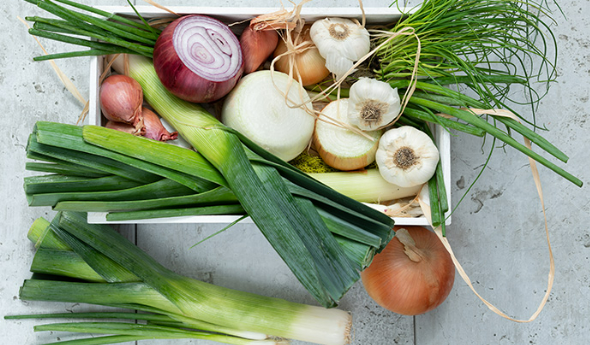 KristenJakobitz's tweet image. Did you know? Your liver's Phase 2 detox is crucial for safely eliminating used hormones. 

Fuel it with: Sulfur-rich foods (onions, garlic, leeks), amino acids (protein sources), and antioxidants (berries, green tea).

#HormoneBalance #LiverHealth #Perimenopause