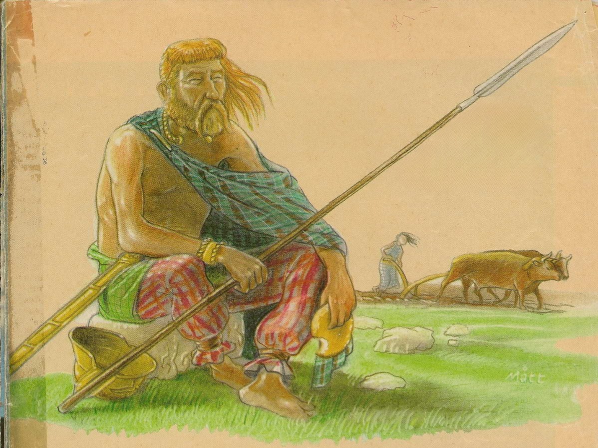 Taranis Brennos tweet media